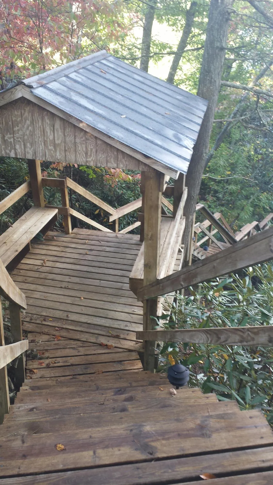 Metal roofed shelter over wooden steps on a wooded walkway — Skylight Repair & Installation work by our crew in Plumtree